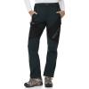 imageTBMPOY Womens Fleece Lined Ski Snow Pants Waterproof Winter Cargo Hiking Warm Thermal Softshell Insulated Outdoor PantDark Grey